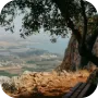 ברמת הגולן